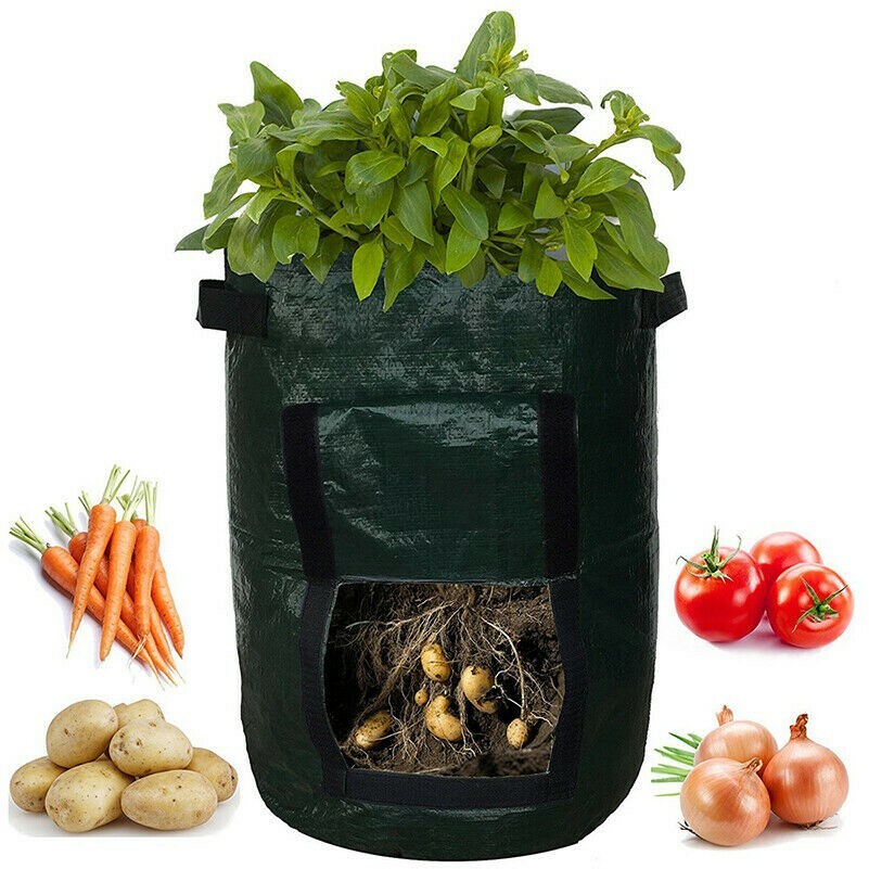 5/7/10 Gallons DIY Patate Grow Jardinière Pe Chiffon Plantation Conteneur Sac