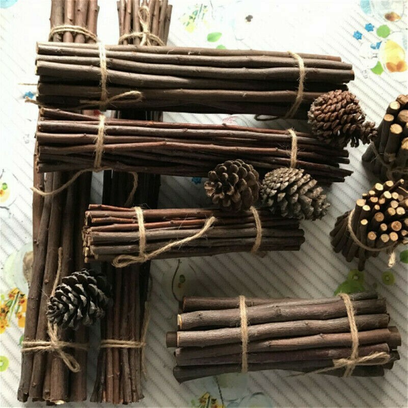 30pcs Natrual Tree Branch Sticks 10-40cm for Arranging Art DIY Craft Decor