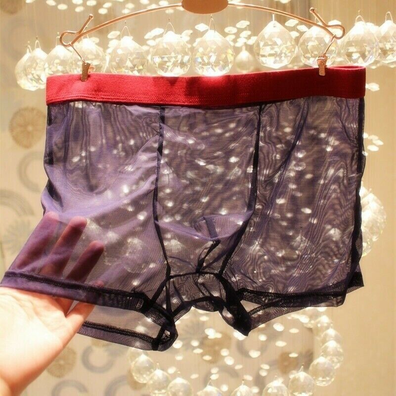 Men Sheer Underwear See Through Briefs Boxer Shorts Comfort Mesh Underpants