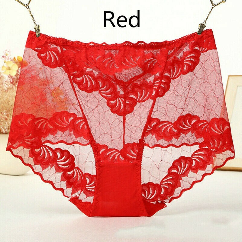 Women Briefs Sheer Mesh Lace Underwear Floral Underpants High Waist Knicker SHP