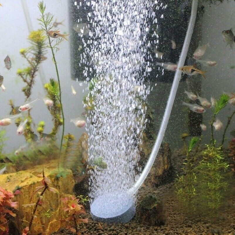 4cm Luftblasen Stein Belüfter Aquarium Pumpe Hydroponische Sauerstoff Platte