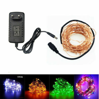 5m 10M LED DC12V Micro Rice Wire Copper Fairy String Lights Party DC female con