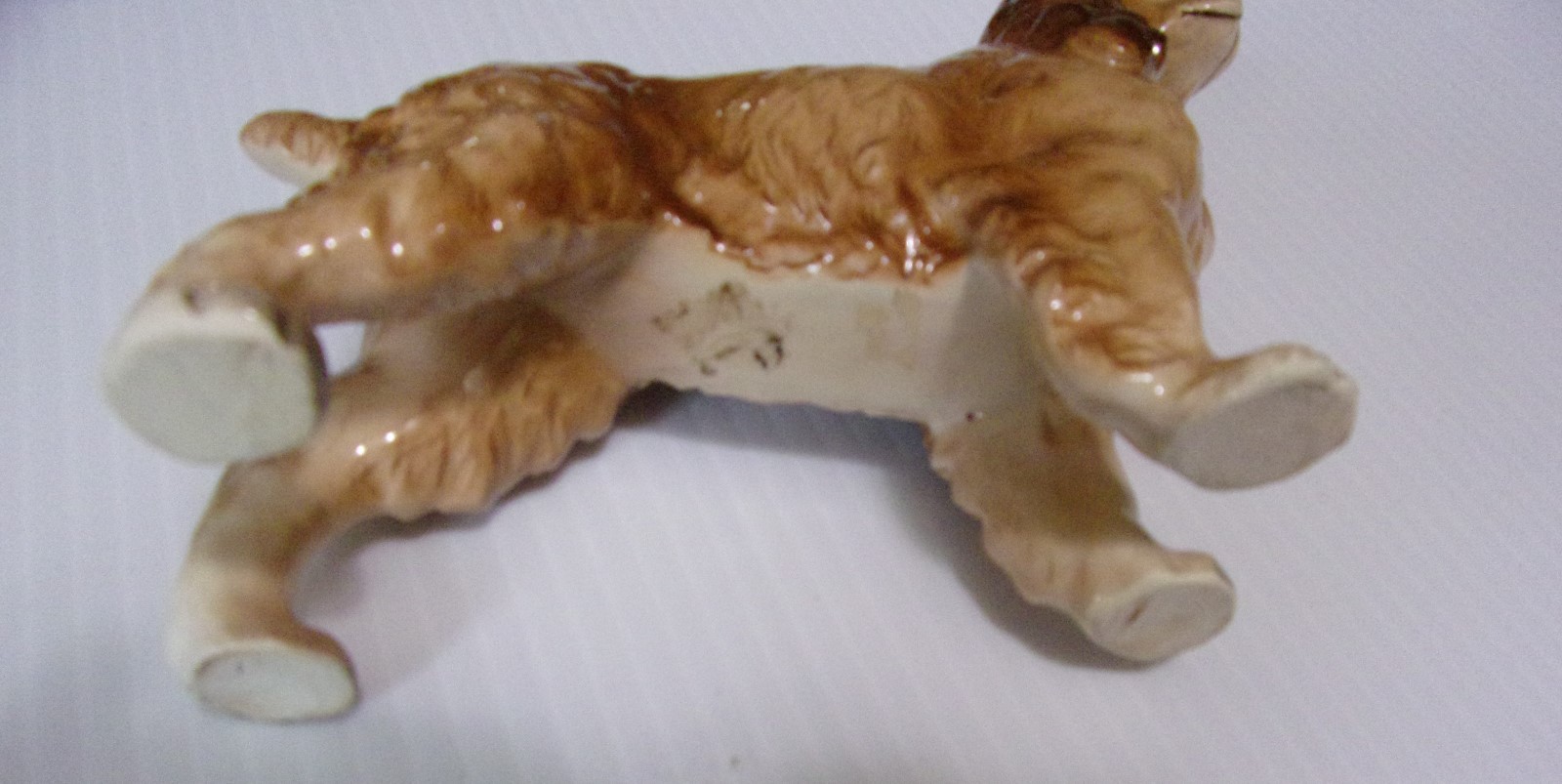 BEAUTIFUL BUFF COLOR   COCKER SPANIEL DOG