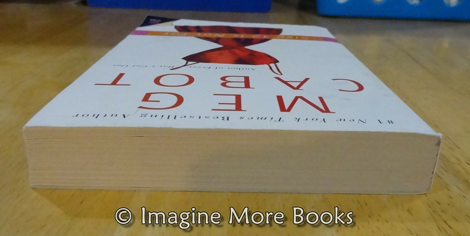 Size 12 is not fat book report 08 image