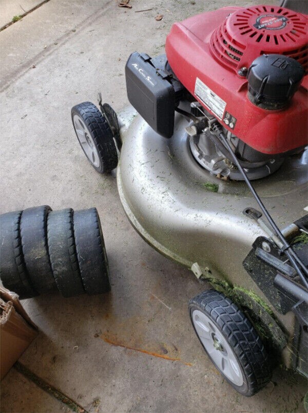 Picture 2