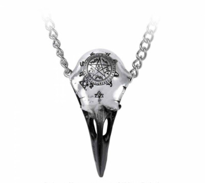 Alchemy Gothic Pewter Volvan Raven Skull Viking Pendant Necklace P898