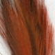 Veniard Ready Stripped Hackle Quills