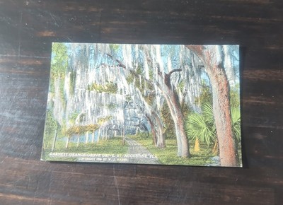 Garnett Orange Grove St. Augustine Fla. W.j.harris Vintage Postcard
