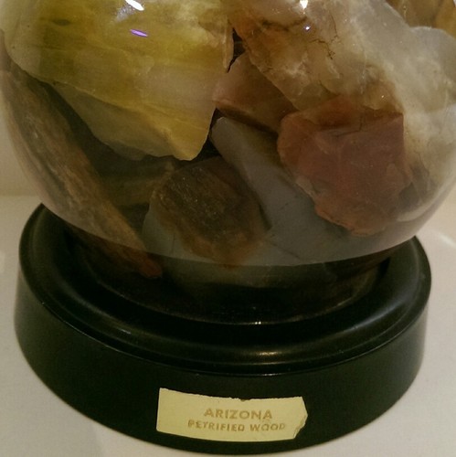 VINTAGE PETRIFIED WOOD SOUVENIR SNOW GLOBE W/ WATER