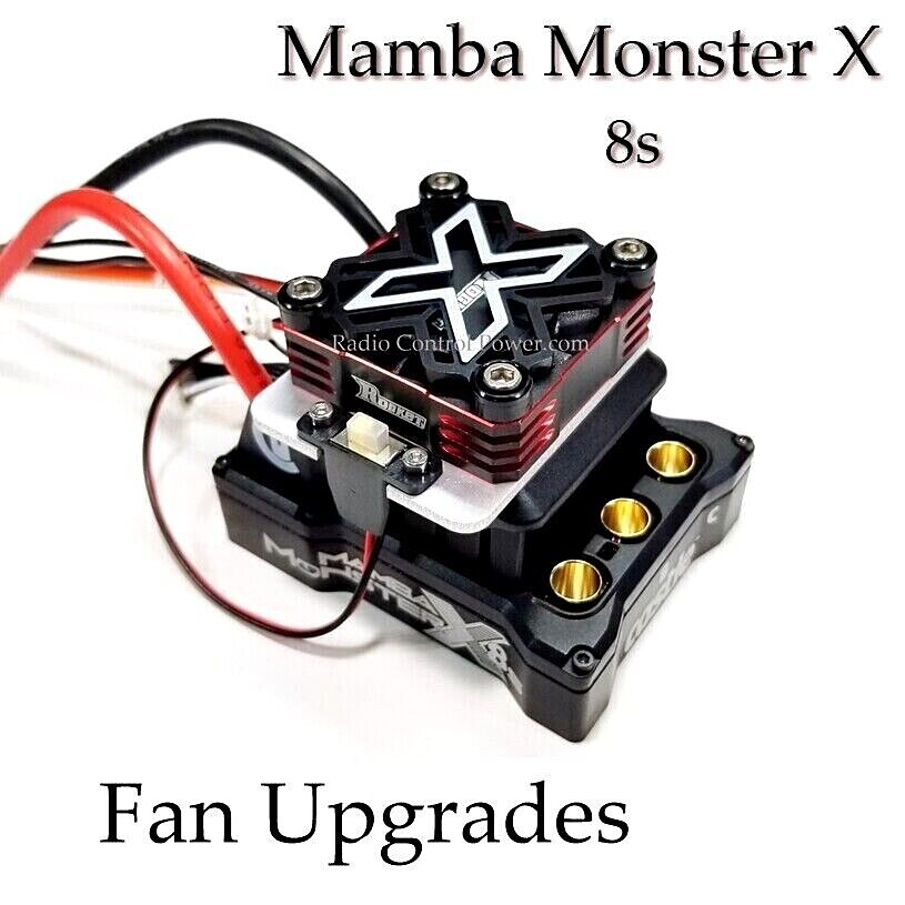 FANTASTICS FC限定 写真 FAN FAN STEP FANTASTICS FC限定 写真 FAN FAN STEP