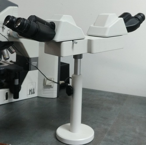 Nikon Microscope Eclipse 80i with Dual Head Bridge