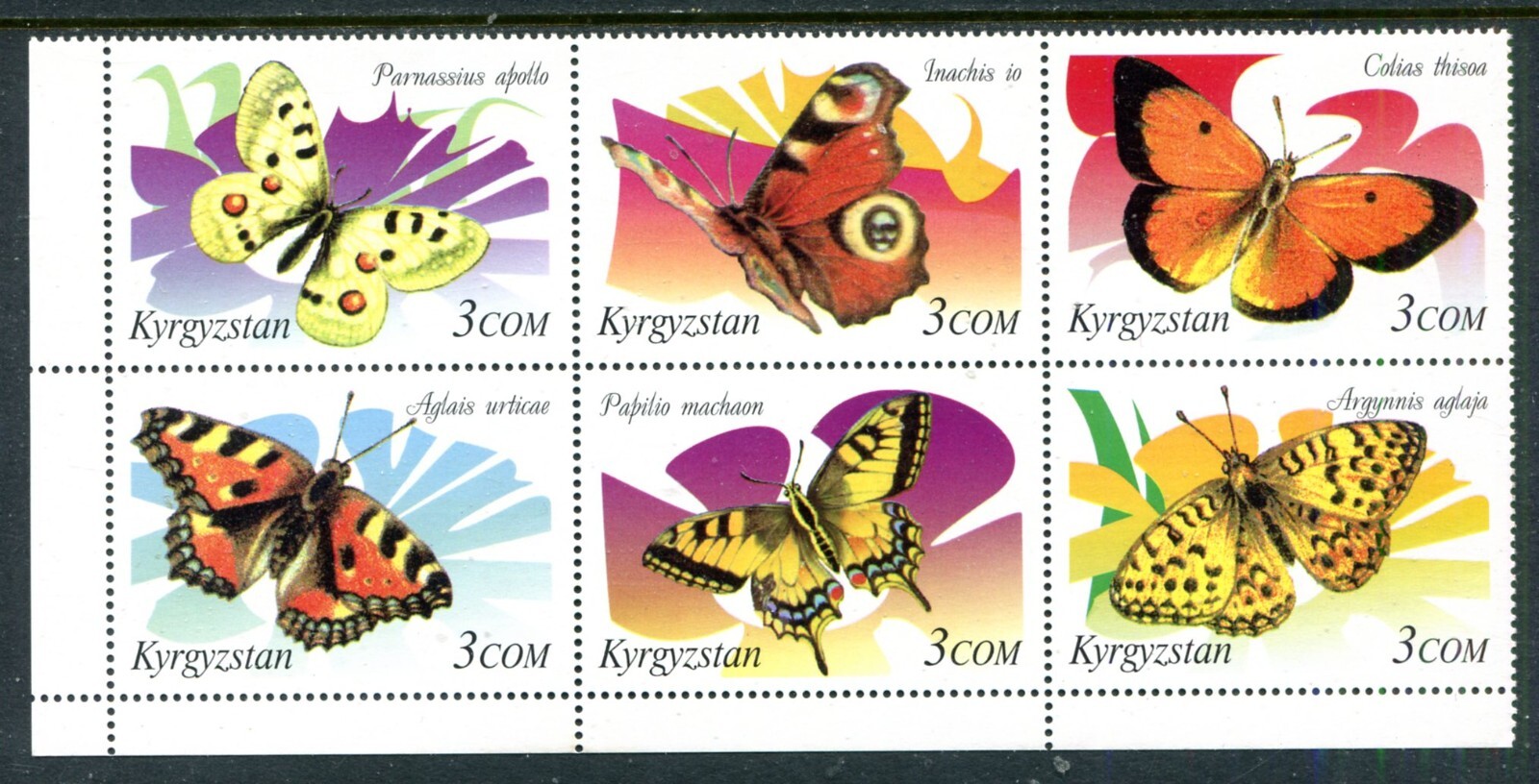 洋書 Butterflies from China, Japan, and Corea World Of Birdwing Butterflies 1998 Japanese Butterfly Insect