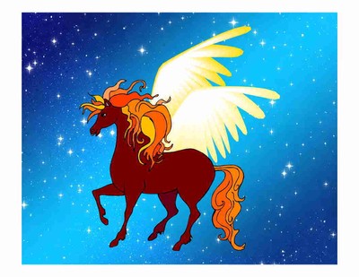 Custom Made T Shirt Pretty Pegasus Sky Stars Fantasy Mystical Magic Girls Women