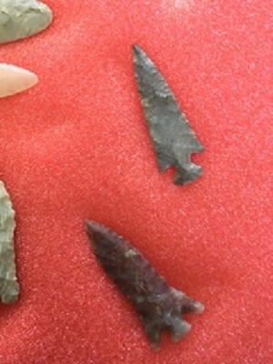 ozark arrowhead collection Hathcock/Wallace 24 points some bird points