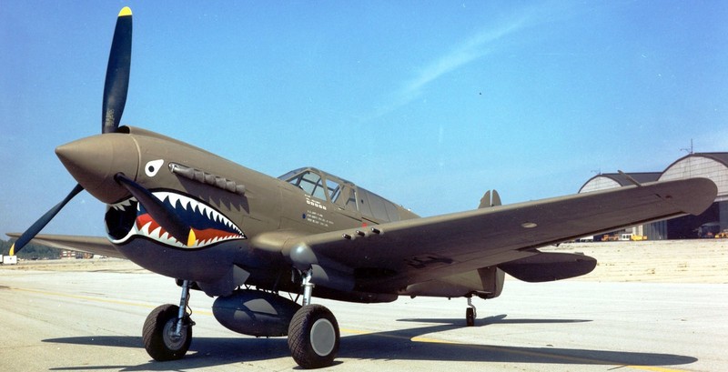 p-40 warhawk curtiss usa fighter airplane p40 mahogany kiln dry