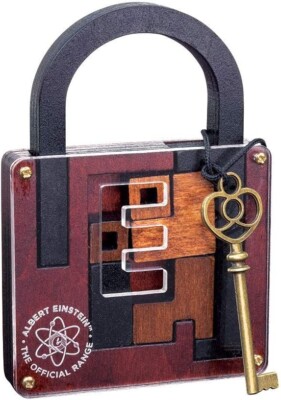 Einstein's Freedom Lock Puzzle Professor Puzzle Brain Teaser New
