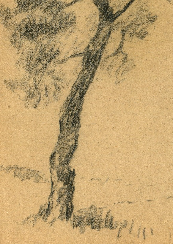 Picture 3