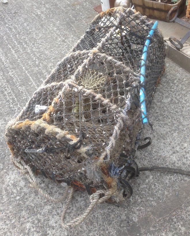 Lobster Crab Pots Traps Standard & Large Creel For The Garden Lots
