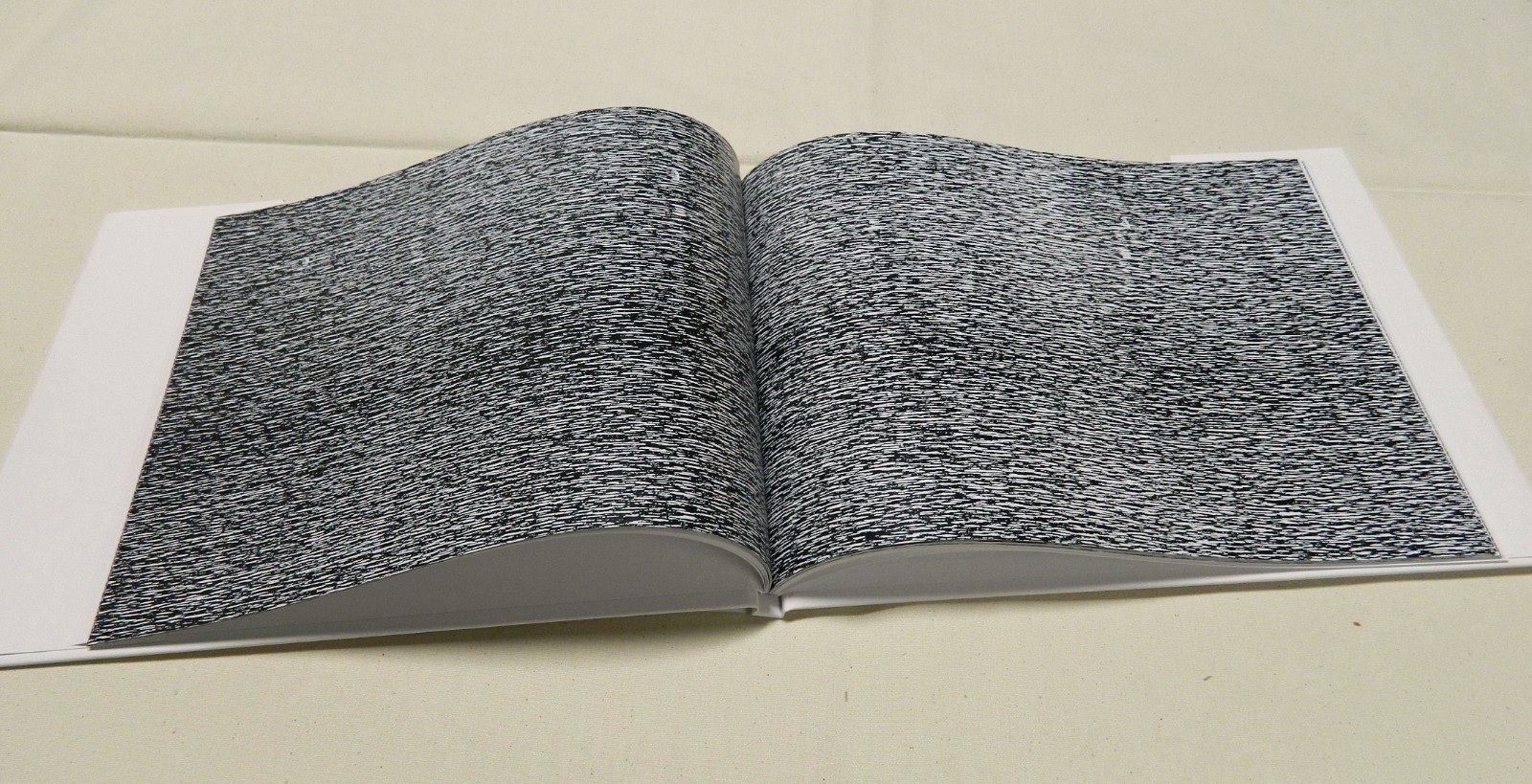 The Chinese Room, Scott Short, artist book, signed and numbered edition of 40