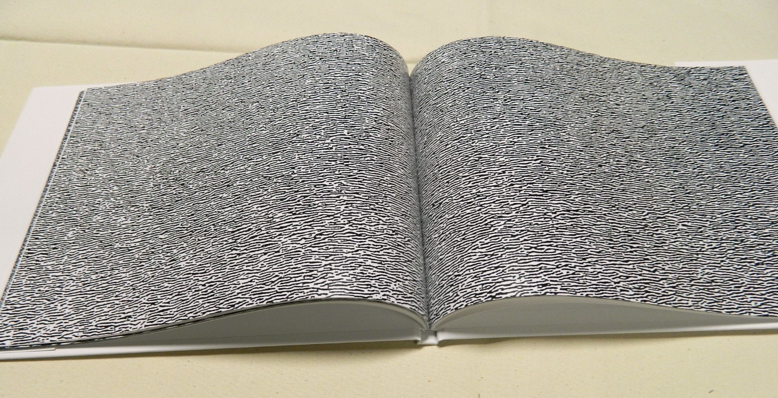 The Chinese Room, Scott Short, artist book, signed and numbered edition of 40