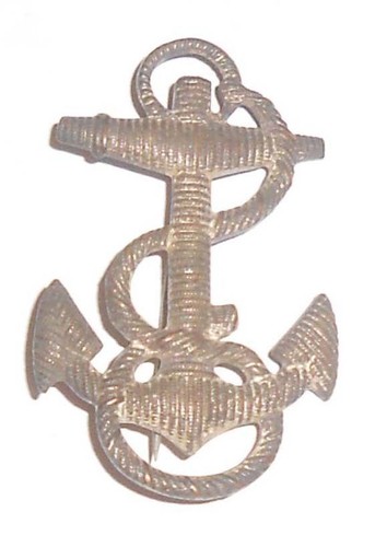 Buprestidae Julodis viridipes (?) 27-28mm A1 from RSA - #1902 | eBay