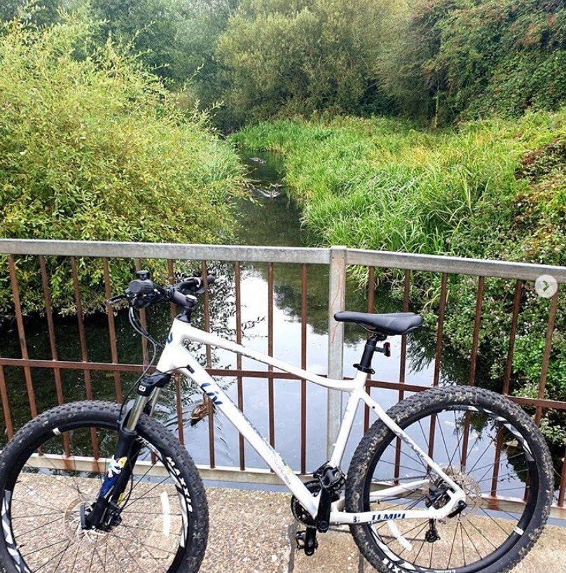 giant liv bikes 2019