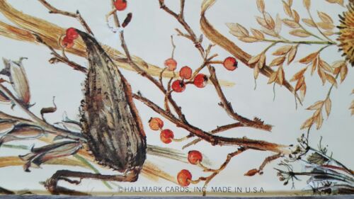 Vintage Hallmark Card Inc Flat Wrapping Paper Milkweed Thistle Berries NOS