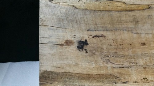 SPALTED  MAPLE  BLACK  LINE RAW CUT   LUMBER   SLAB./ WOODWORKING.