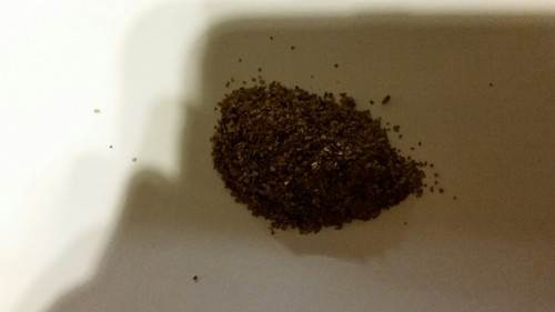 Natural Alaska Gold Flakes 20.91 grams of beautiful gold ! Close to a troy oz!