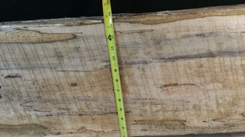 SPALTED  MAPLE  BLACK  LINE RAW CUT   LUMBER   SLAB./ WOODWORKING.