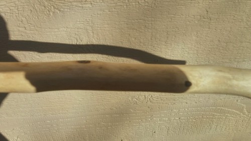 Handmade Walking Stick/cane 42 1/2 inches