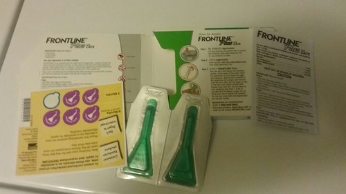 frontline plus for cats