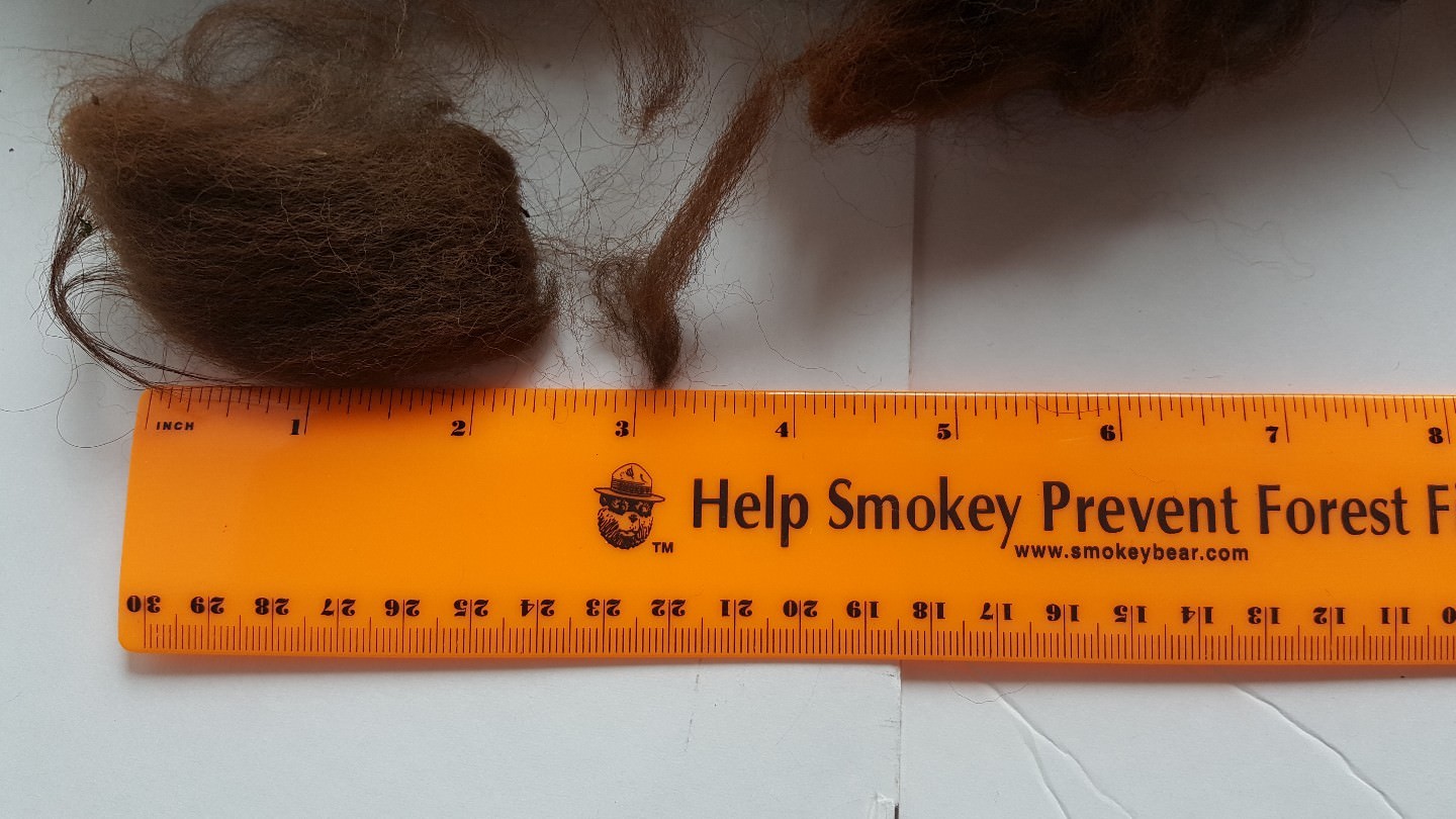 RAW Alpaca Fleece/Fiber Brown 2nds, 10 oz