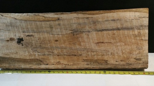 SPALTED  MAPLE  BLACK  LINE RAW CUT   LUMBER   SLAB./ WOODWORKING.