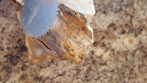 JoRene petrified wood/rock  handpainted and signed