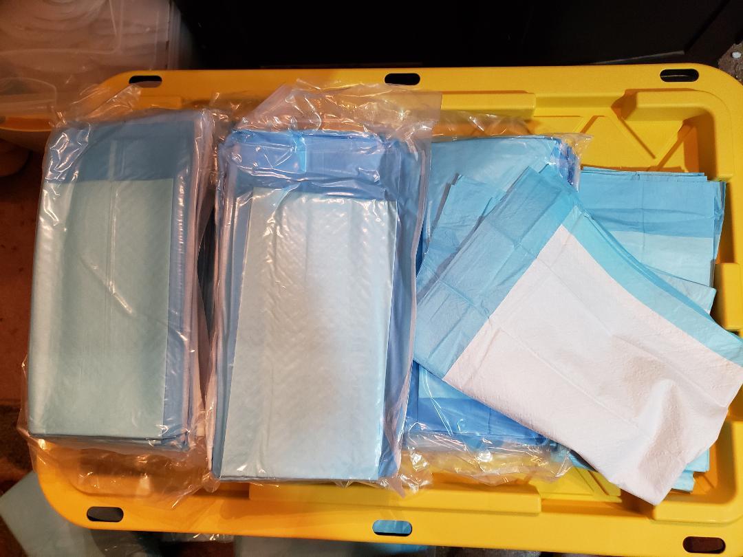 Blue Disposable Underpads, 23
