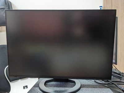 EIZO FlexScan EV2495 24.1 inch monitor