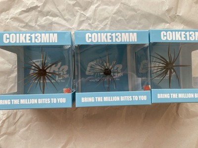 Hide Up Koike 13Mm Set Of 6