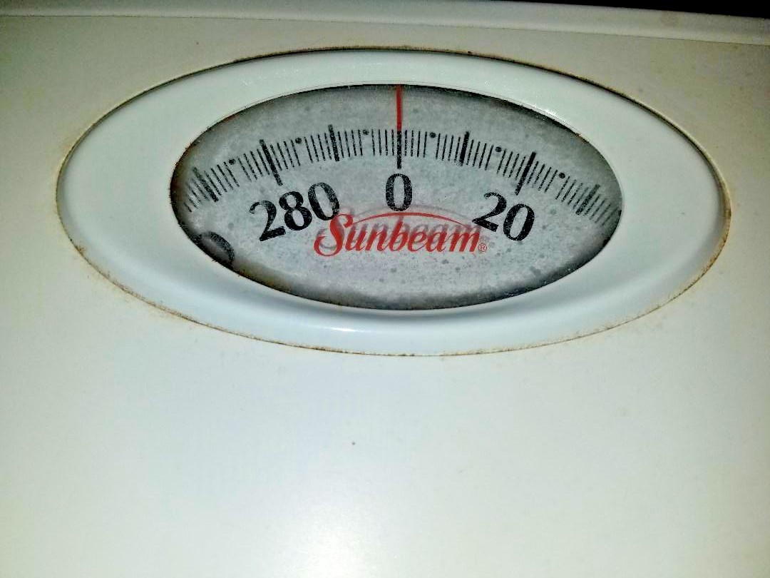Used Sunbeam Analog Healthometer Bathroom Scale in pounds - white, works great