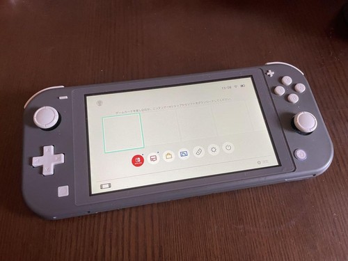 Nintendo Switch Lite グレー 本体 HDH-S-GAZAA 任天堂 HDHSBAZAA Nintendo Switch Lite本体 ターコイズ