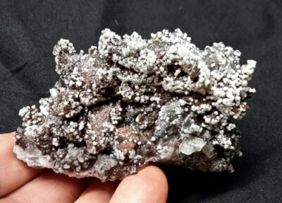 3'' CALCITE from Chihuahua, Mexico