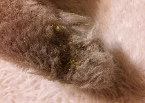 VINTAGE ET E T PLUSH 23