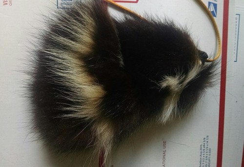 Skunk Fur Bag Purse Mountain Man Rendezvous #34