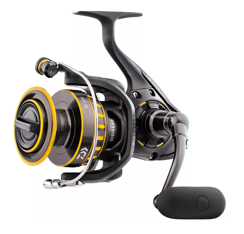 Reels