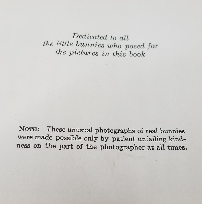 BUNNY RABBIT Unusual Photos REAL BUNNIES FOUR LITTLE BUNNIES Book ADORABLE