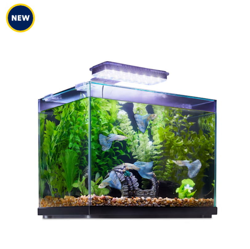 Imagitarium Glass Versa Aquarium with Filter and Light Insta