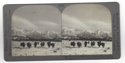 4 Keystone Early 20th Century SV  Cards   Canada