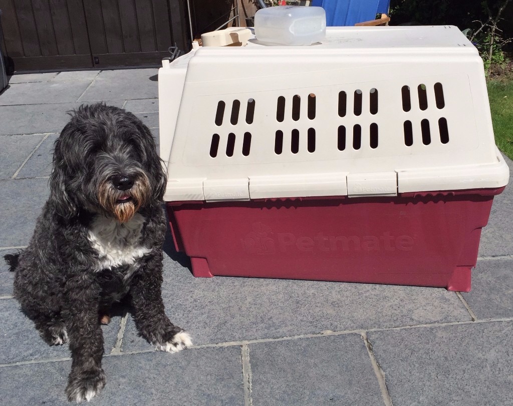 Petmate Furrarri 450 Extra Large Size 36 Long Dog Kennel (Burgundy and