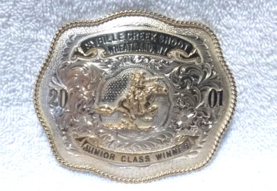 AQHA CMSA Cowboy Mounted Shooting Assoc. Sybille Creek Shoot Wheatland WY MINT
