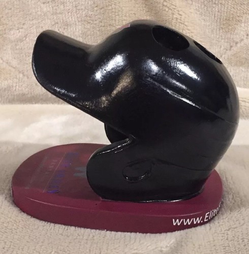 Wisconsin Timber Rattlers 2016 SGA Helmet Tooth Brush Holder Brewers Foxes MILB